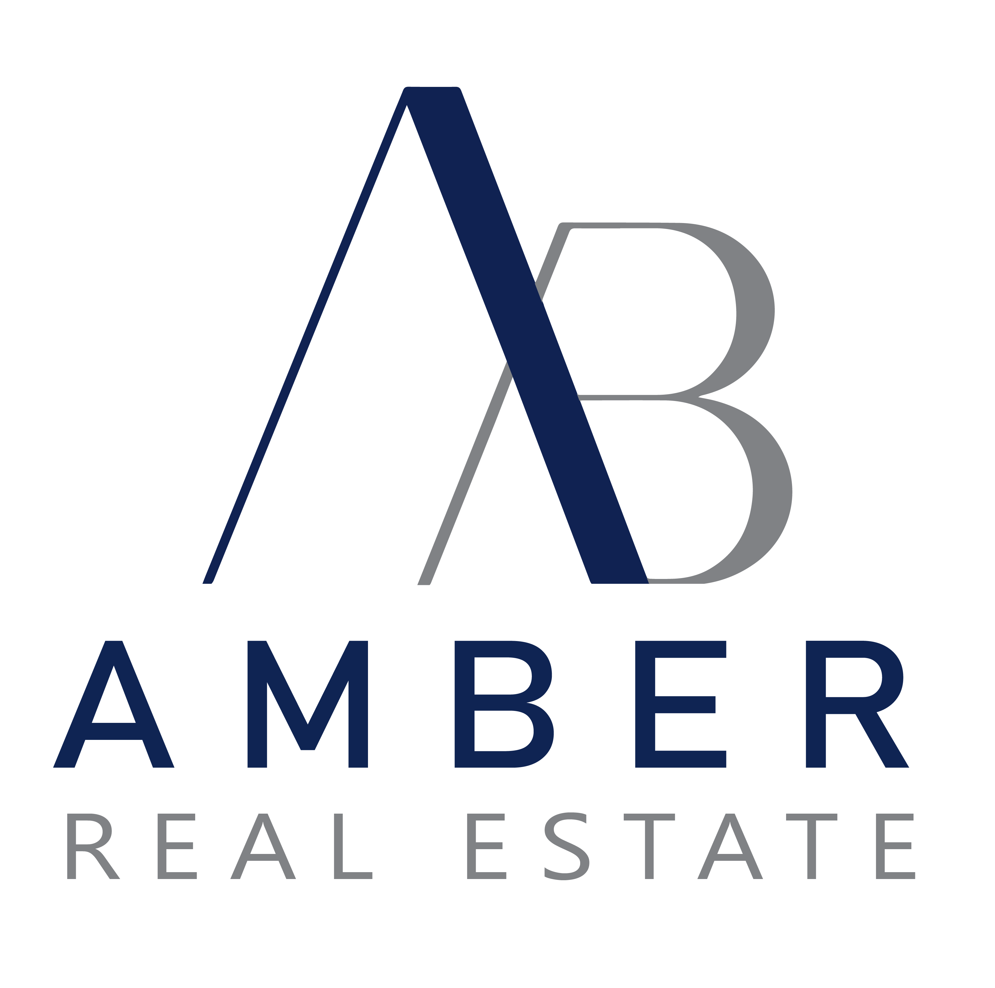 Amber Real Estate